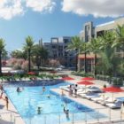 Large outdoor swimming pool under the Chula Vista sun, shaded by palm trees.