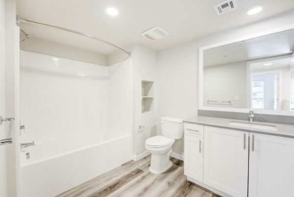 the-avalyn-chula-vista-2bedroom-2.5bath-bathroom
