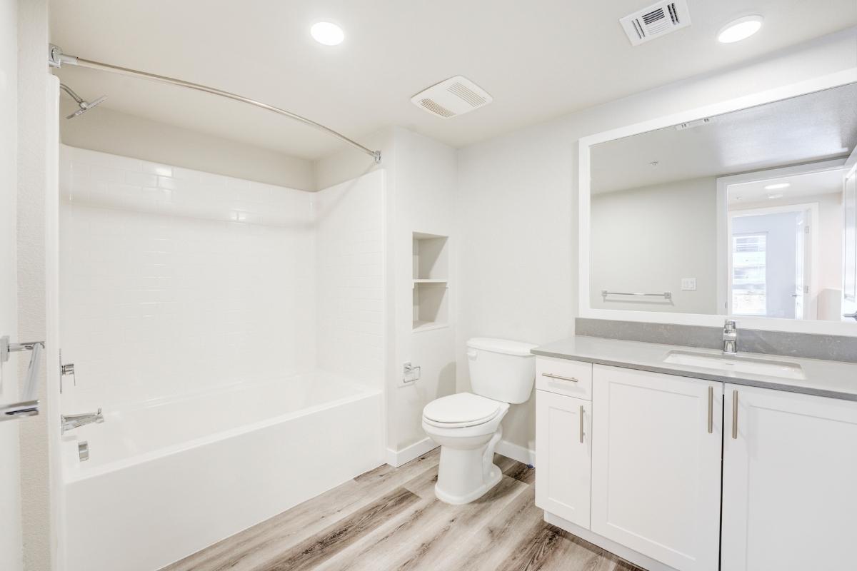 Easy and Classy Apartment Bathroom Decorating Ideas